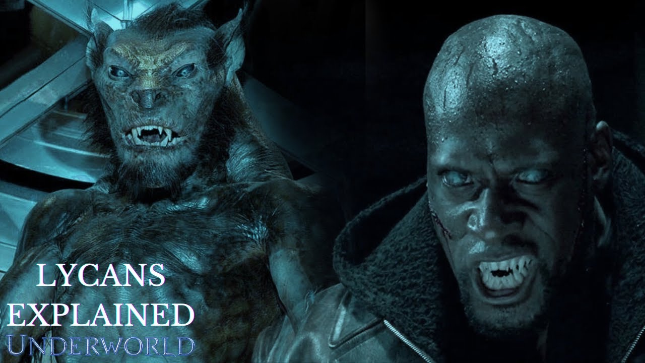 LYCANS | UNDERWORLD Explained | UNDERWORLD Lore