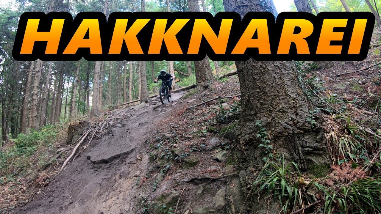 HAKKNAREI am Königstuhl // Heidelberg // Feierabendrunde auf dem KS