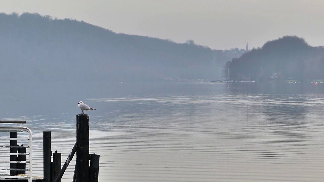 »Mehr-oder-weniger-GeoTour Baldeneysee« (Essen/Ruhr) • Ende Dezember/Winteranfang 2025