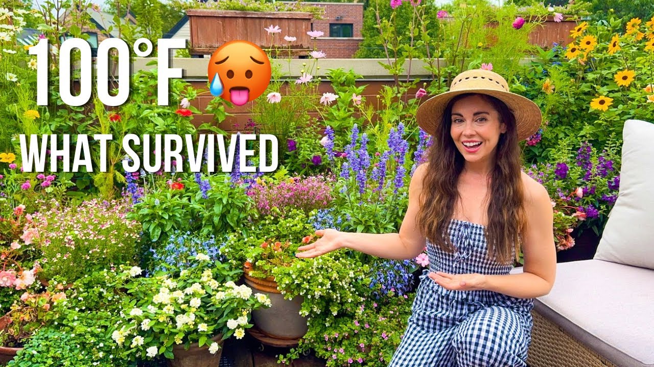 4-Day 100&deg;F Heatwave 🥵 Which Plants Survived?