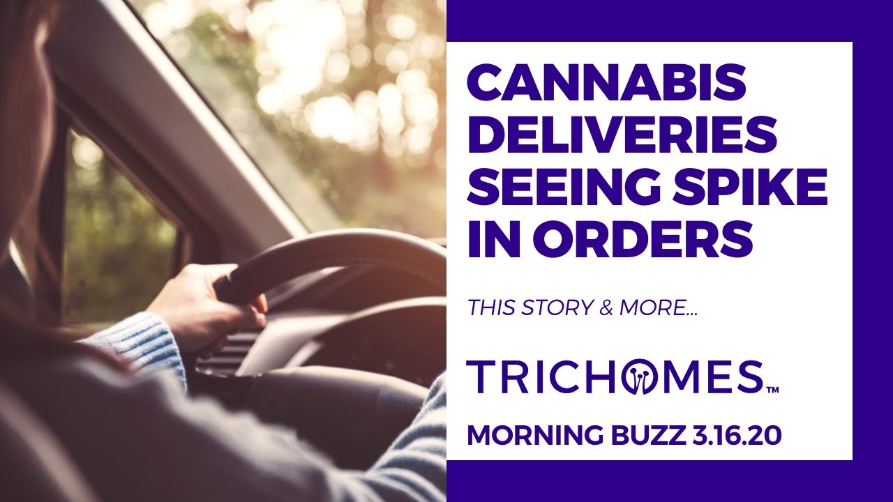 CANNABIS DELIVERIES SEEING SPIKE IN ORDERS | TRICHOMES Morning Buzz