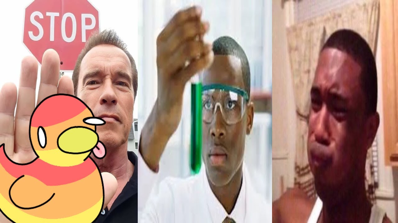 THESE SCIENTIST’S NEED to STOP