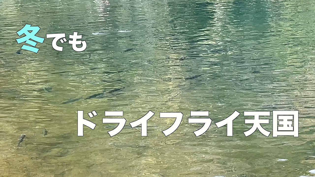 冬でもドライフライで釣りたい！