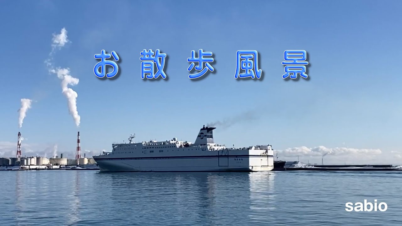2026.01.27　お散歩風景