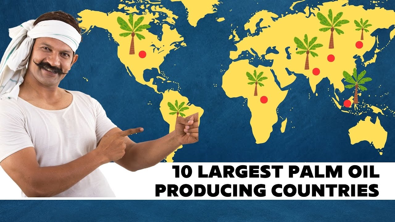 The Largest Palm Oil Producing Countries