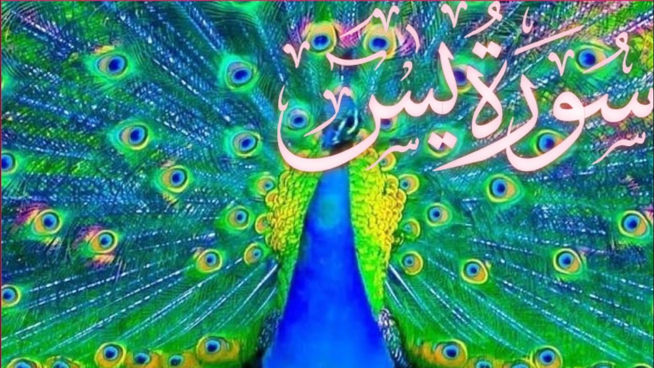 Surah yaseen ! Surah yaseen by mishary rashid alafasy