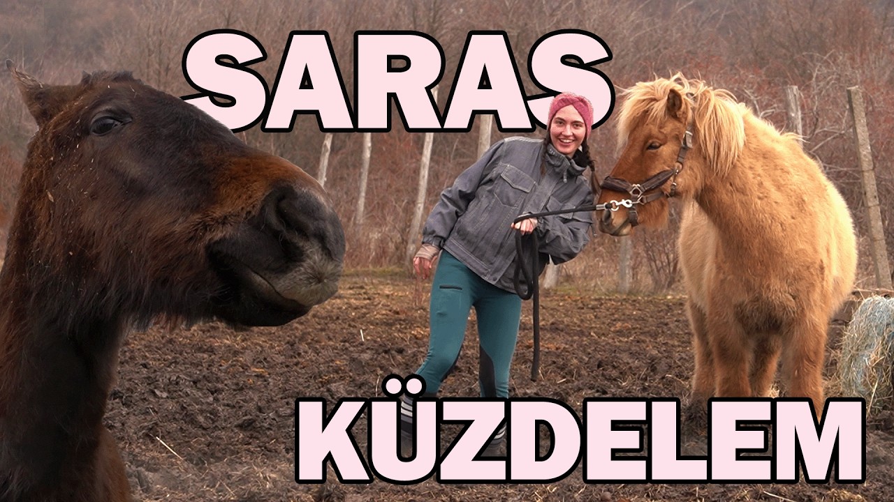Amikor a DIÁK Oktat