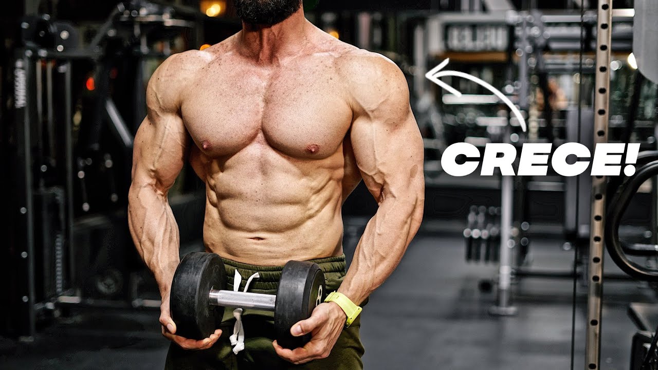 HOMBROS BESTIALES CON MANCUERNAS - Rutina completa (Jueves) gym topz