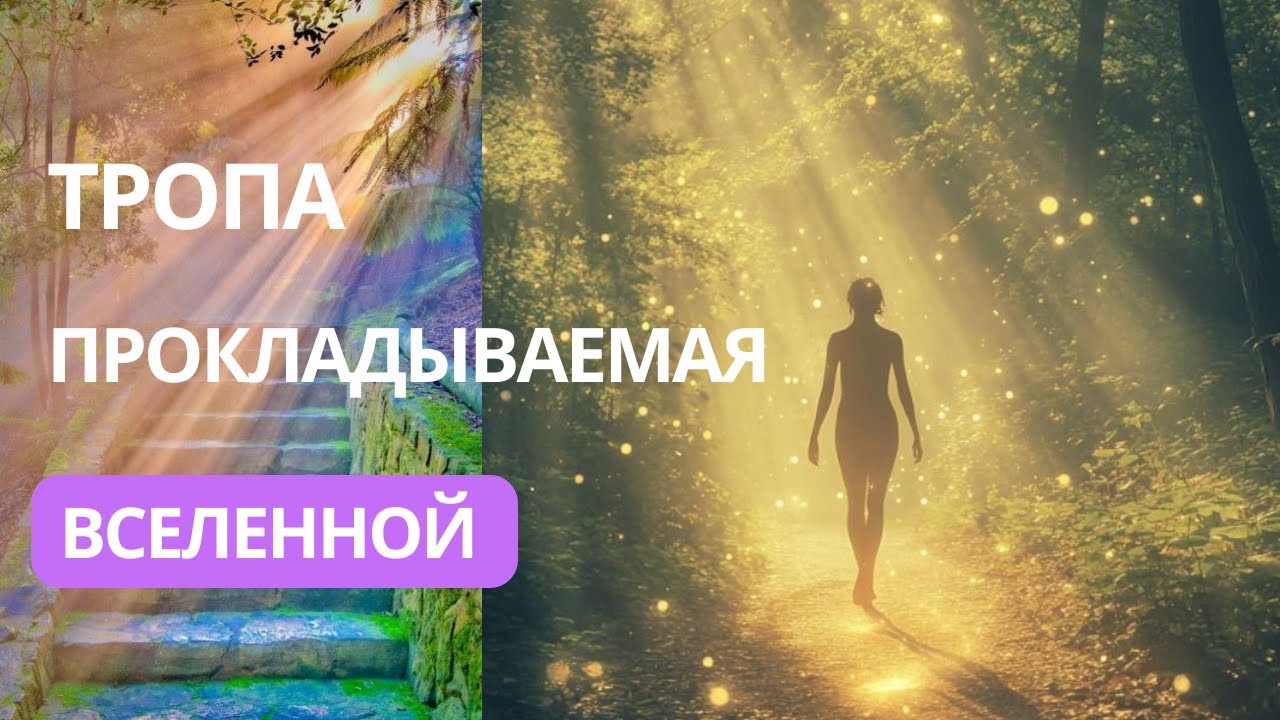 Тропа прокладываемая вселенной