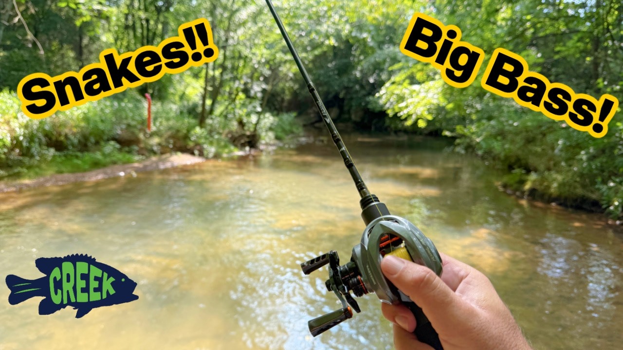BIG Bass in Little Urban Creek!