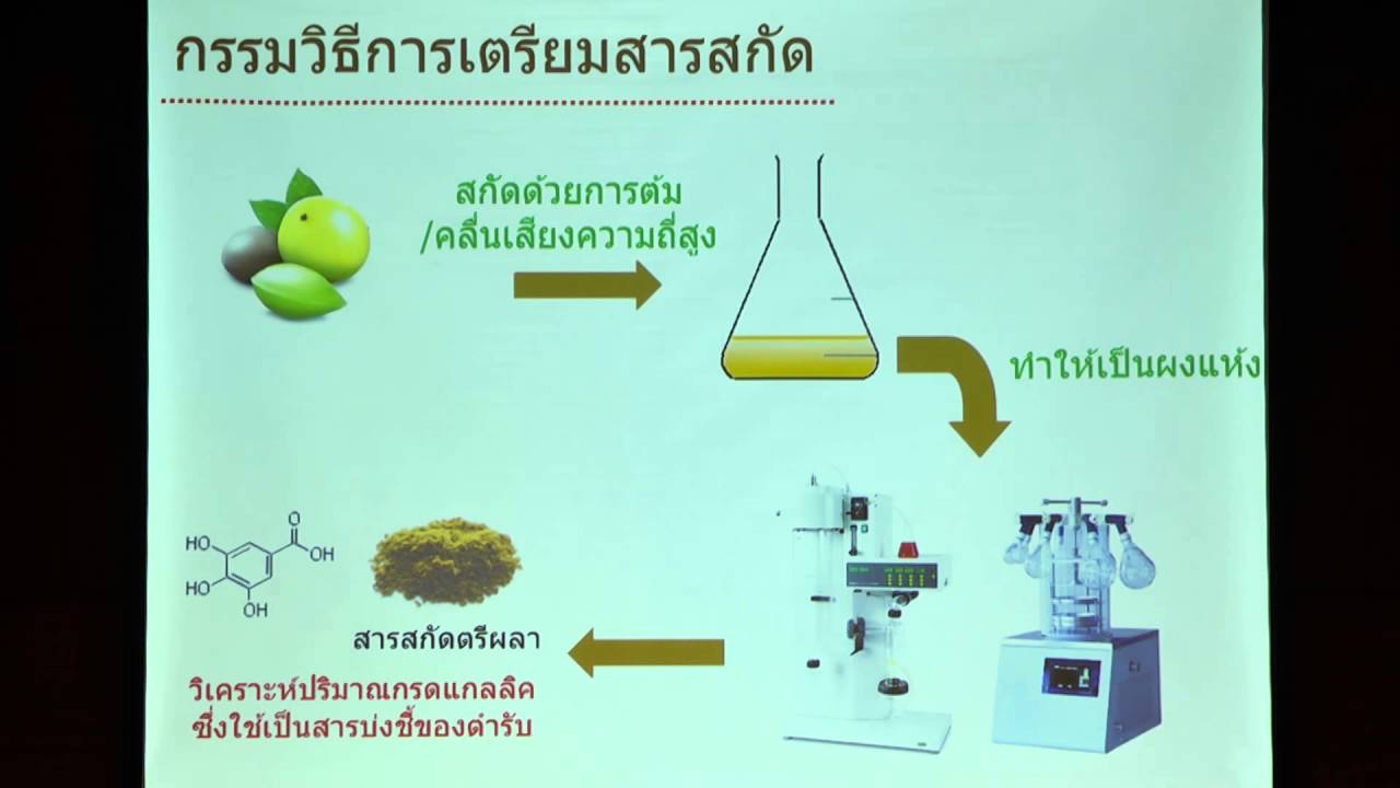 55 สารสกัดตรีผลา มมส