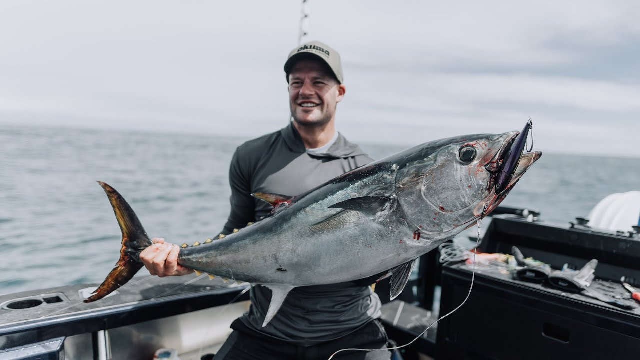 Back steaks and Tuna Fillets - SURF & TURF NZ