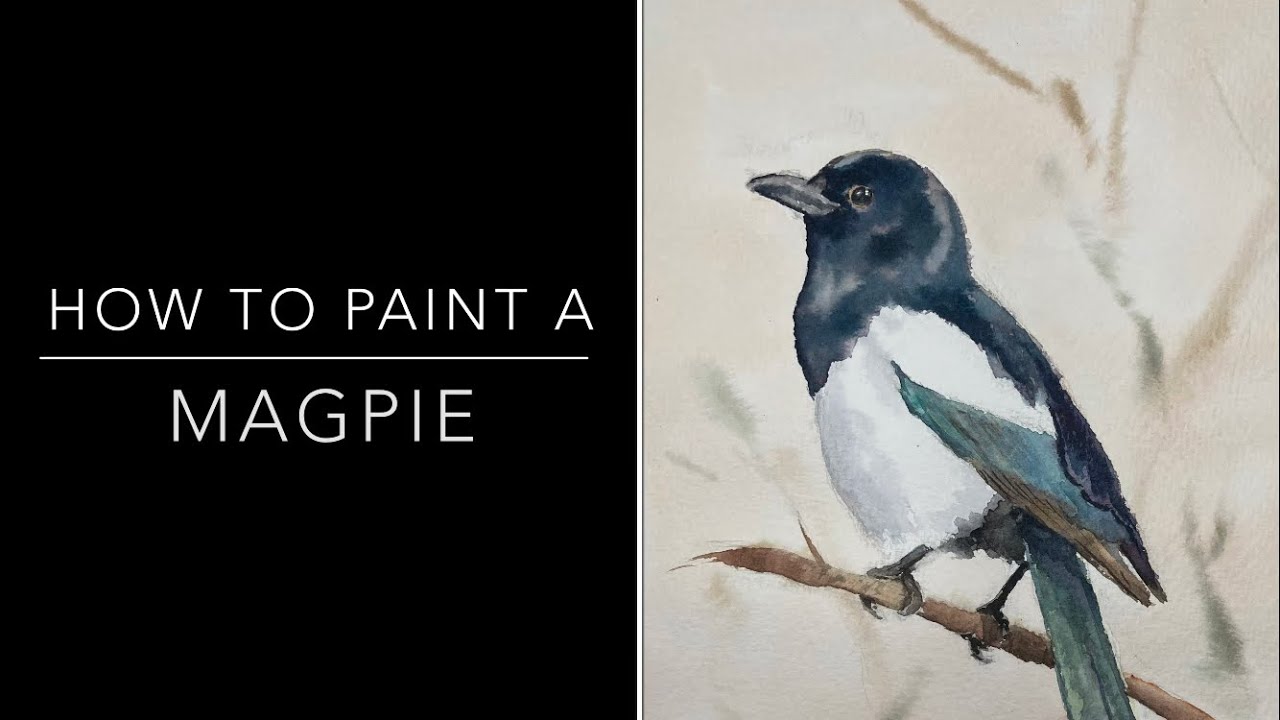 How to paint a Watercolour Magpie