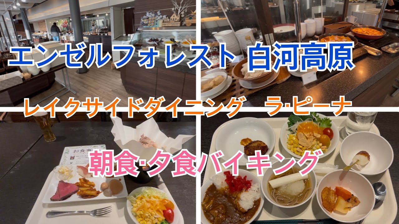 ワンちゃんと泊まれる福島県の宿エンゼルフォレスト白河高原で朝食・夕食バイキングを食べて来ました#福島県 #エンゼルフォレスト #白河高原 #バイキング #犬のいる暮らし #旅行