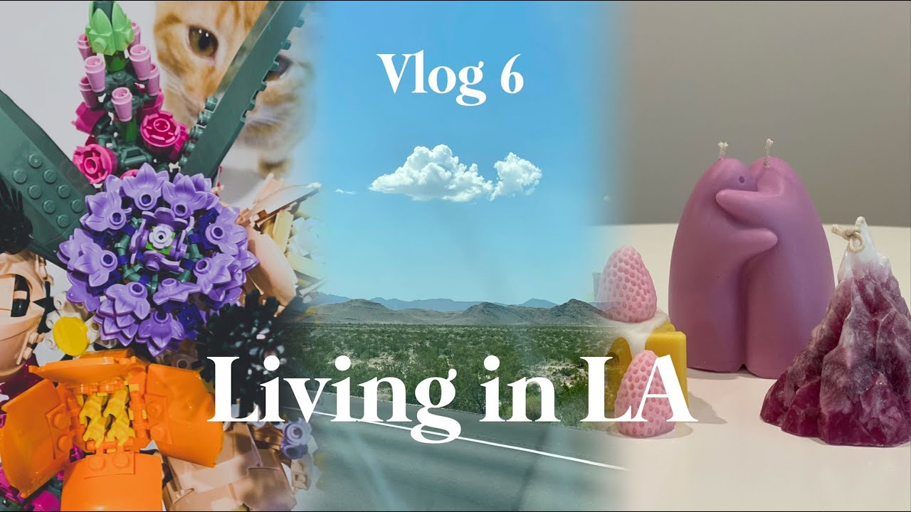 Vlog | 好朋友过生日｜领养第二只猫猫｜村上隆的展览｜做可爱蜡烛｜搬到洛杉矶半年啦