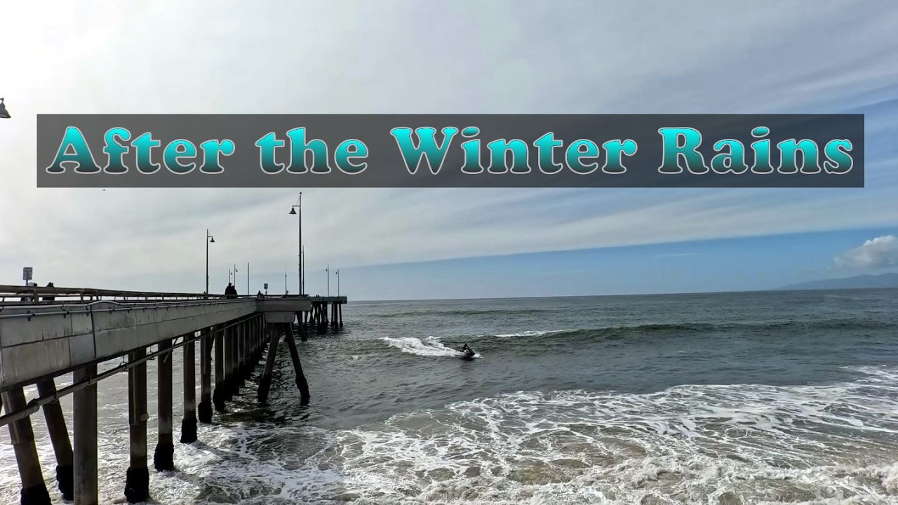 Southern California Winter | No Ai, all natural | 2/12/2026