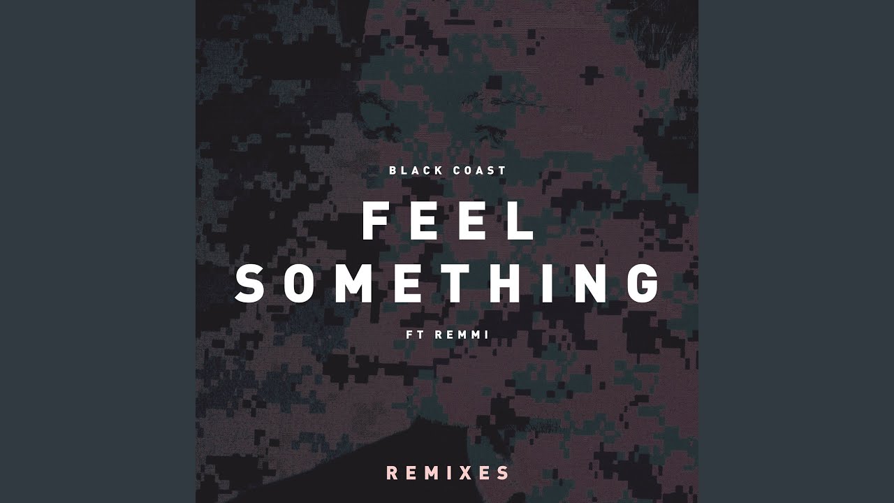 Feel Something (warner case Remix)