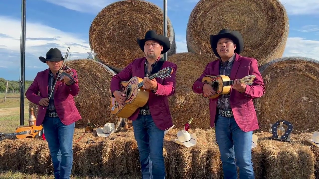 Nunca Me Fui - Trio Realeza De la Sierra de Jony Hernandez