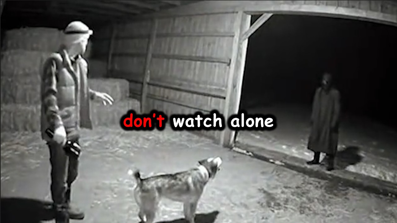 20 Most Disturbing Forest Encounters Caught On Camera!