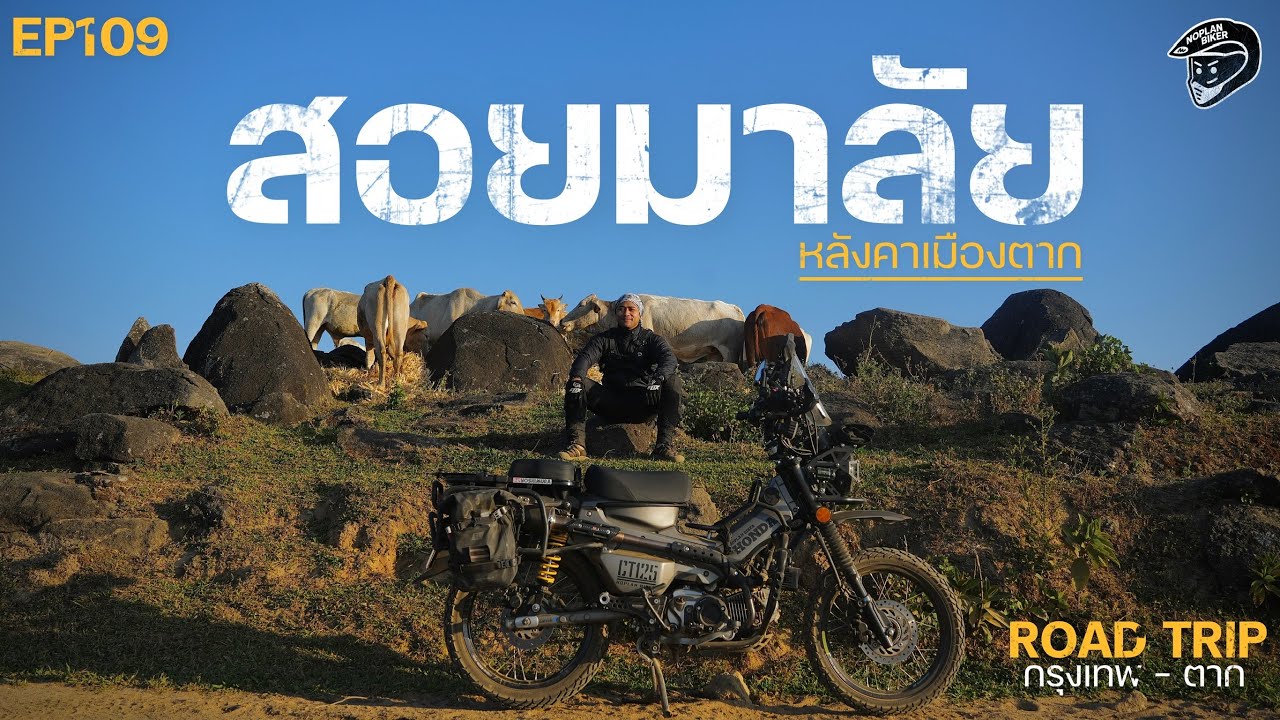 ขี่รถเล็กแบกเต็นท์ไปแคมป์ ดอยสอยมาลัย หลังคาเมืองตาก | CT125 | EP109