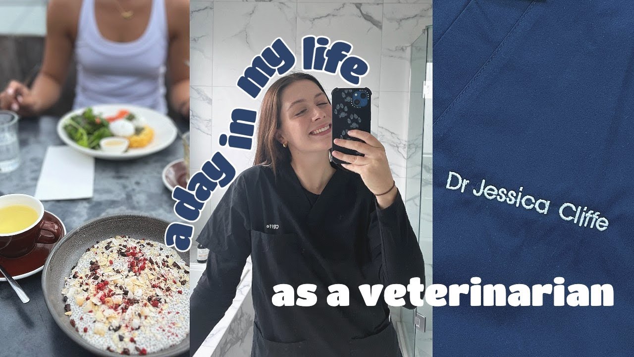 Intern Diaries | a day in my life as a new grad vet