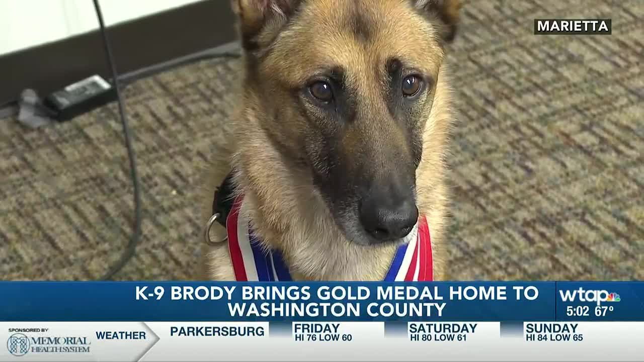 K-9 Brody brings home gold medal