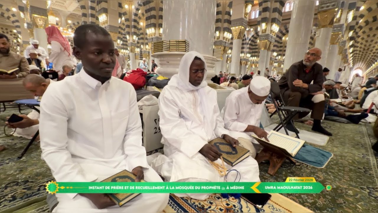 Umra Maoulhayat 2026 : Instant prière et profond recueillement à la Mosquée du Prophète ﷺ à Médine