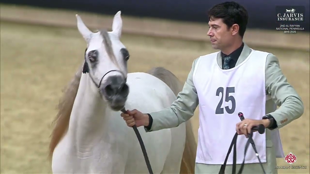 N 25 ALJOWHARA ABHER   2nd Al Rayyan National Peninsula AHS 2025   Yearling Fillies Class 1B