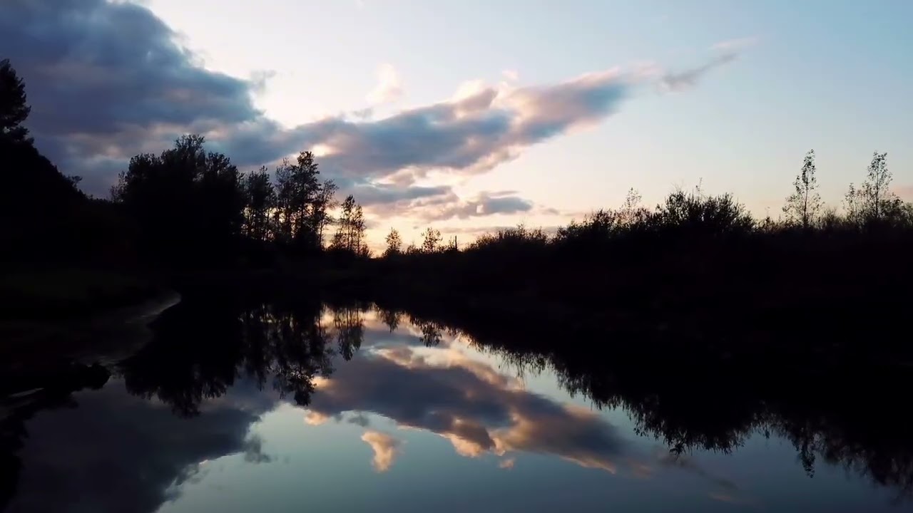 Fall Asleep to God’s Word | Powerful Psalms 91, 23, 4, 3 & 121 for Deep Sleep