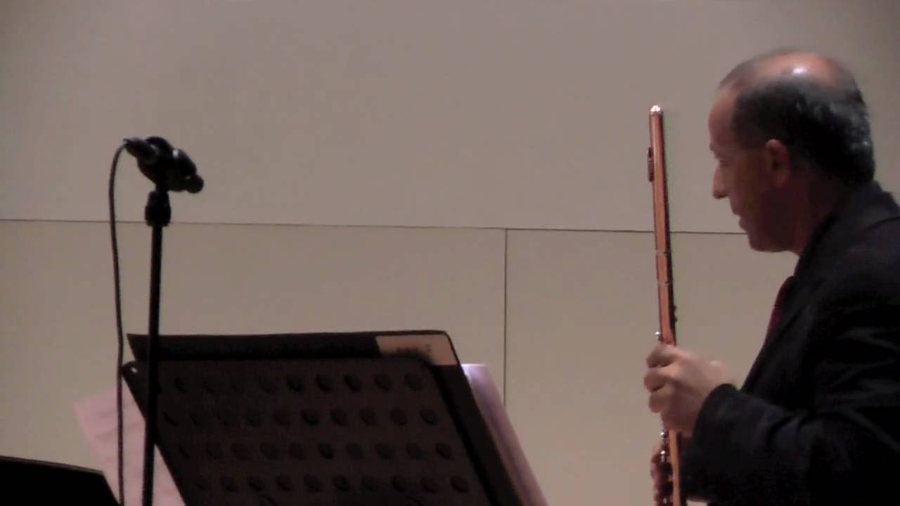 Octavio Vazquez Sonata N&ordm;2 ( I )