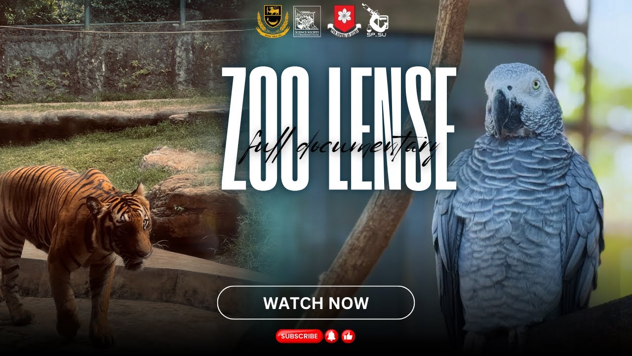 ZOO LENSE |  A Powerful Visual Journey Into The Heart of The Dehiwala Zoological Gardens, Sri Lanka.