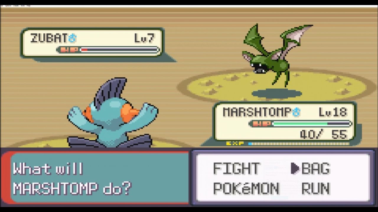 Road to Mauville City Pokémon Emerald 03