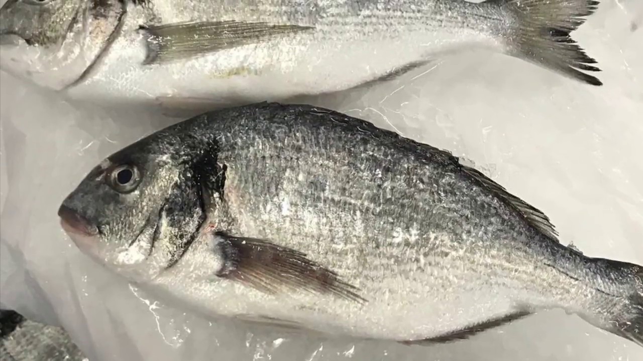 &Ccedil;ipura kıl&ccedil;ıksız fileto kesimi/ seabream fillet pinbone out