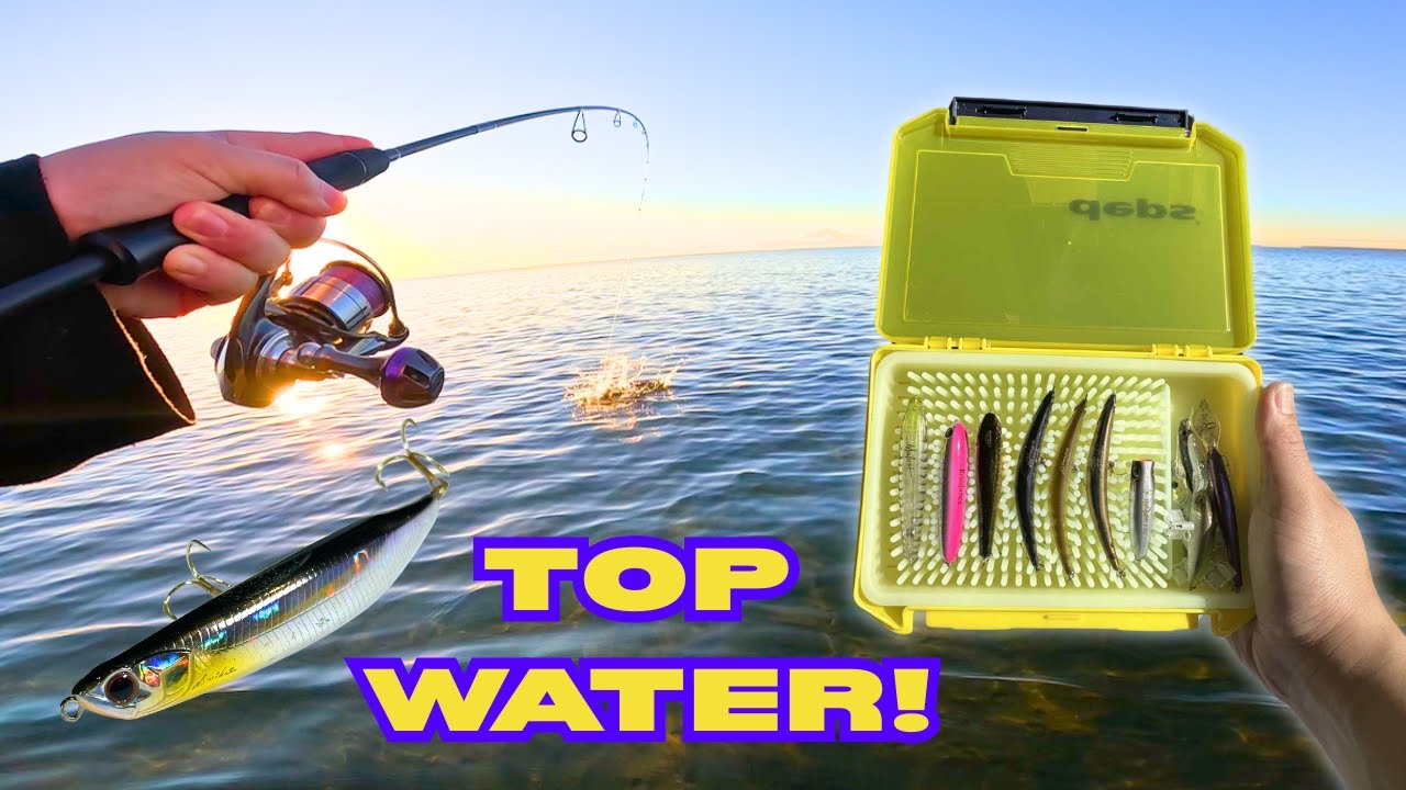 JDM Light Tackle Top Water Flats Fishing!