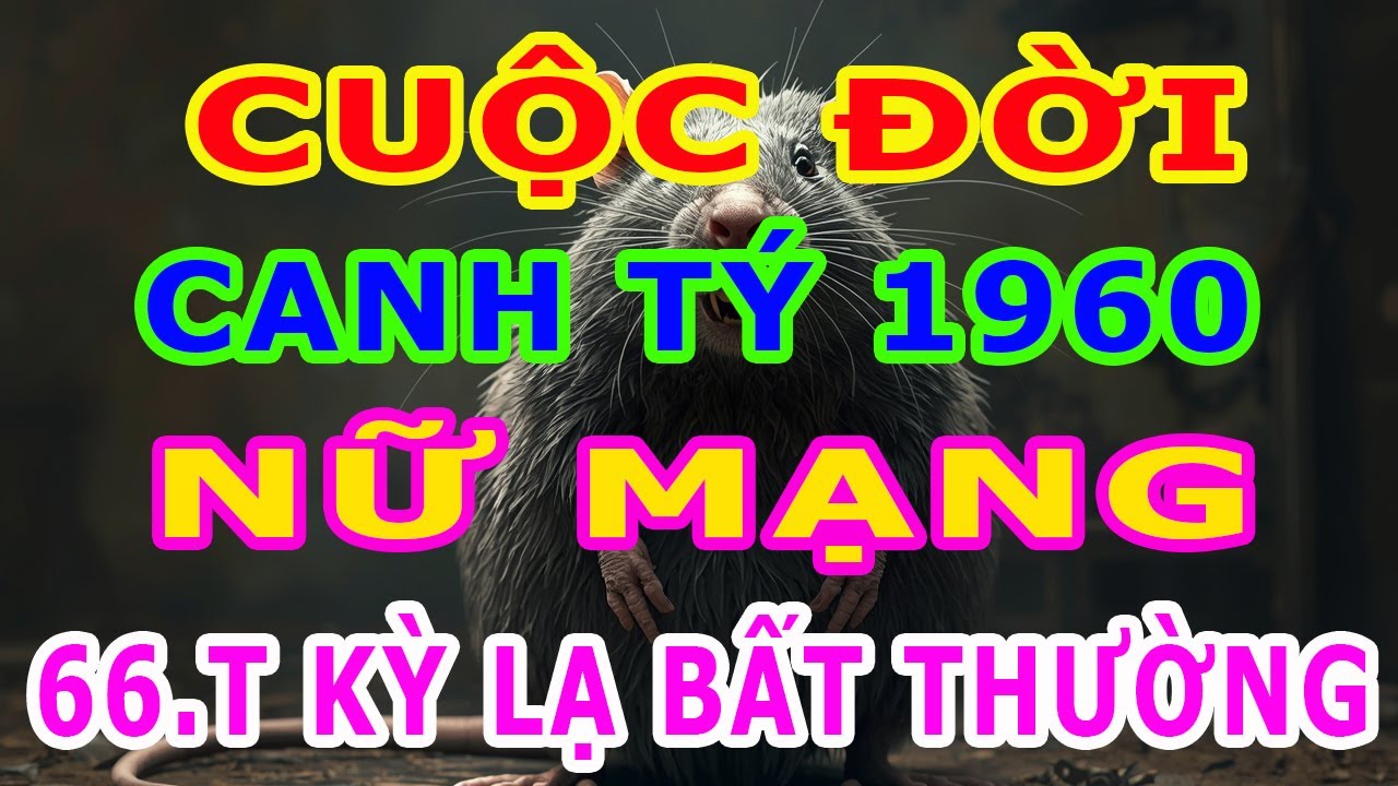 Tử Vi Trọn Đời Nữ Tuổi Canh Tý 1960, Từ 66 Tuổi Về Sau Như Thế Nào Quý Cô Sẽ Gặp Những Vận Hội Nào