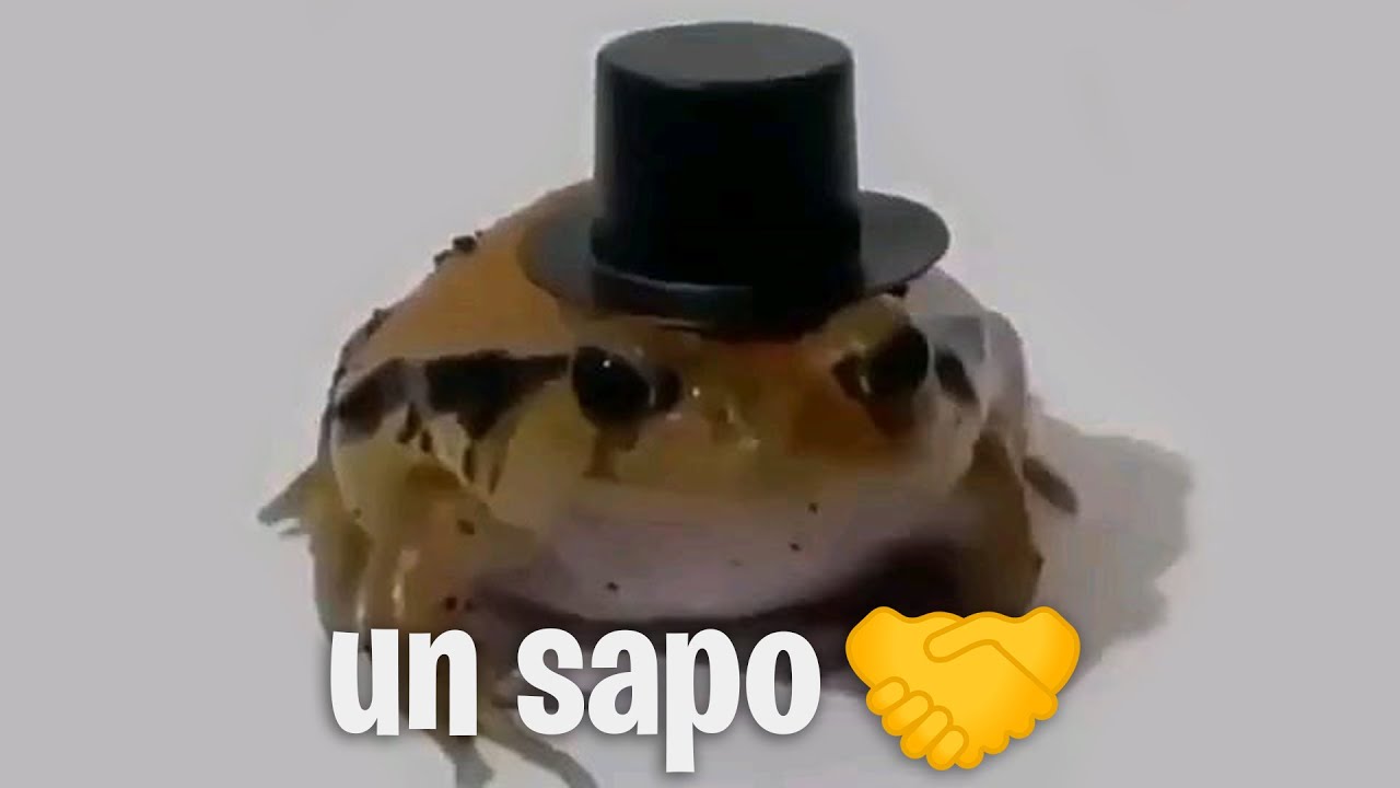 un sapo 🤝