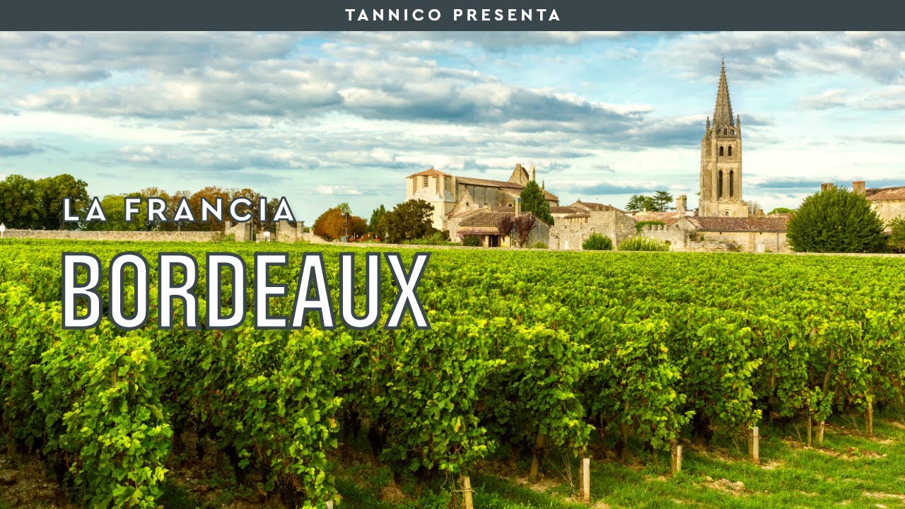 Le caratteristiche del vino di Bordeaux | Tannico Flying School