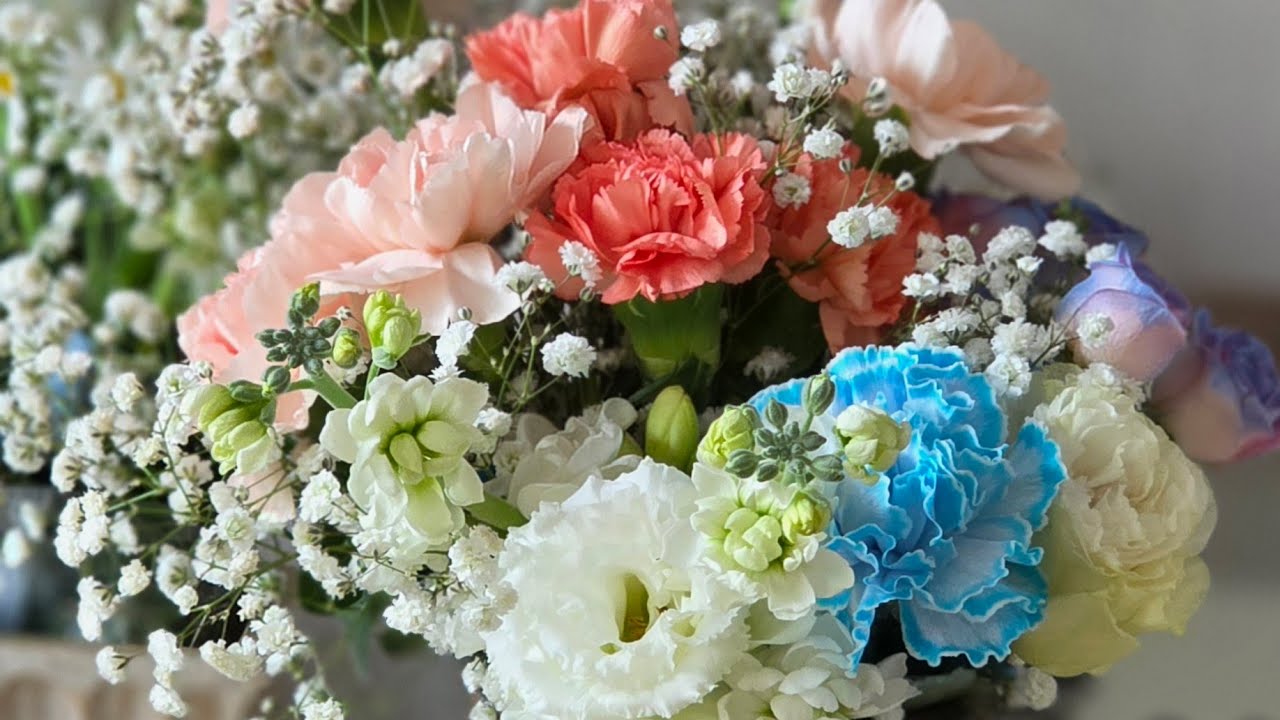 정신줄놨네  #졸업식 #succulent  #다육생활 #힐링 #다육식물