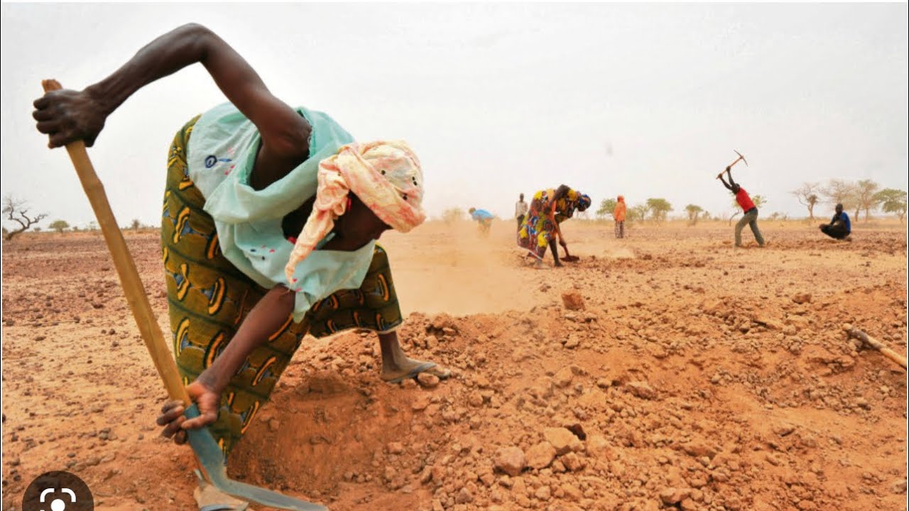 Senegal: Village de keur samba ka | l’hivernage s’annonce bien pour les bétails