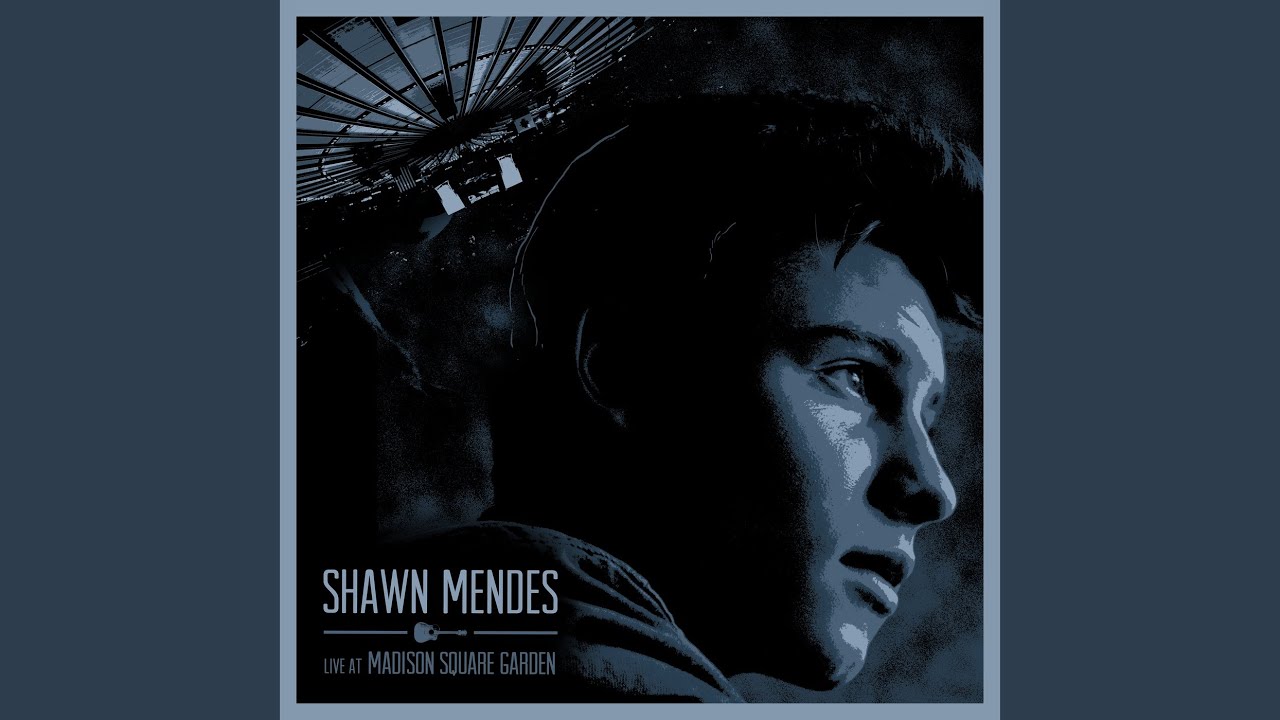 Stitches (Live)
