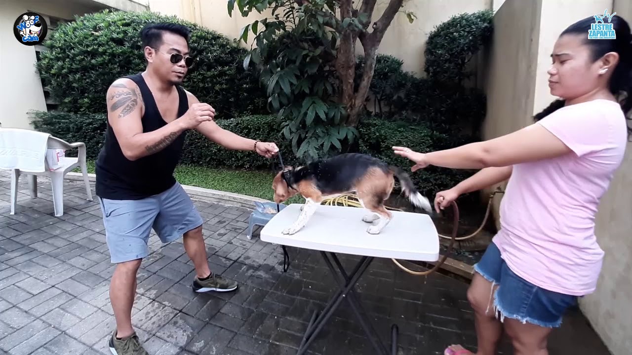 WOOFCAM: Asong ayaw maligo