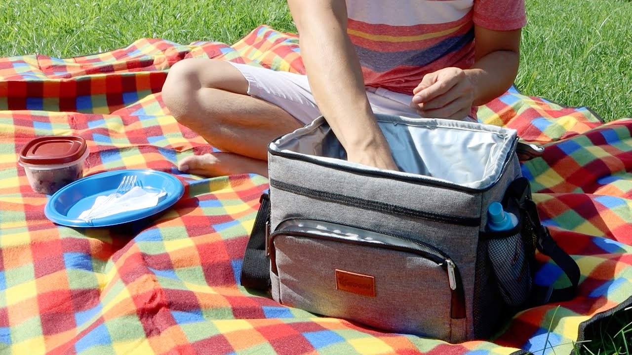 AstroAI Insulated Cooler Bag for Cold or Hot Foods Review