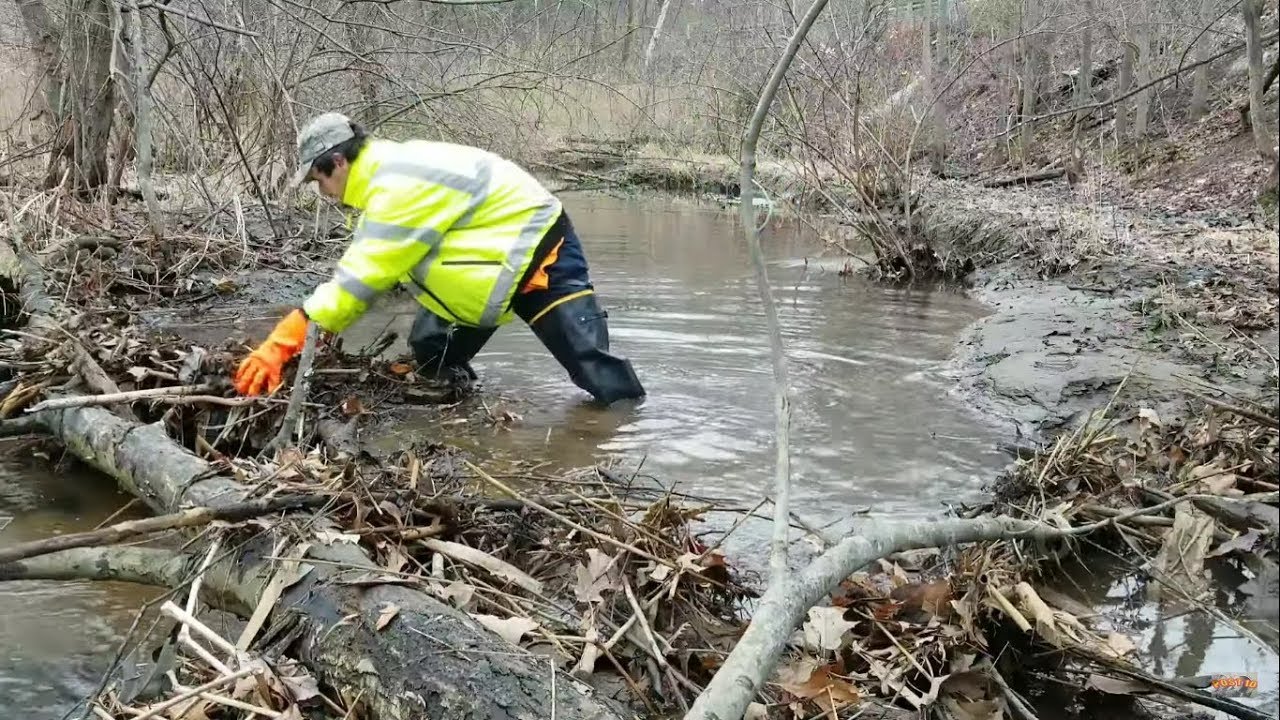 Removing Log Jam Caused By Fallen Tree