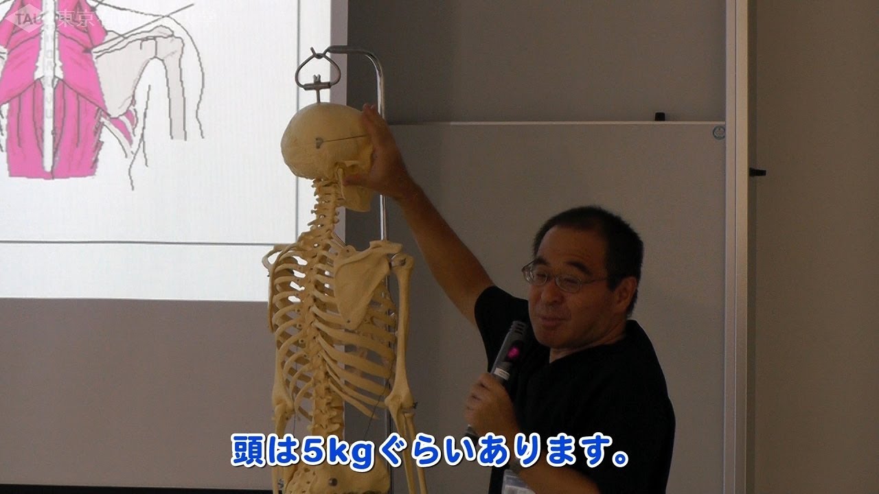 肩、首、背中の筋肉は重い頭や腕を支えている
