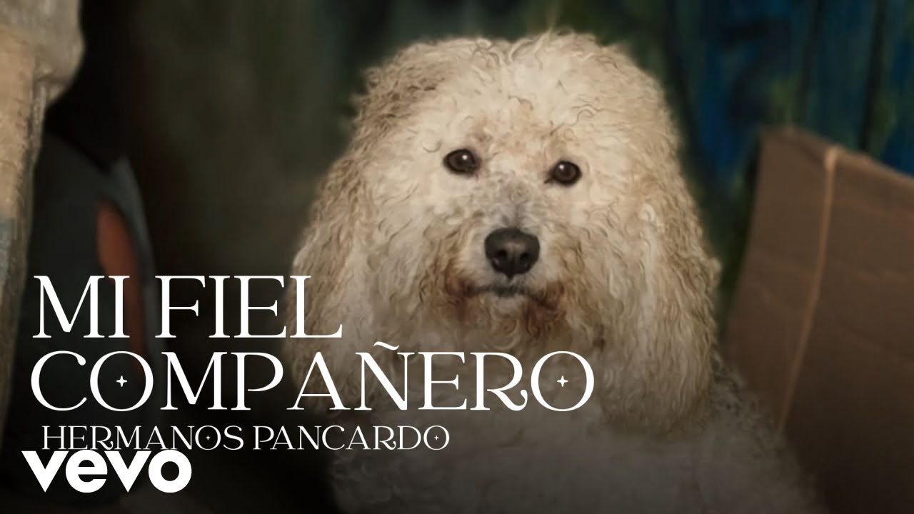 Hermanos Pancardo - Mi fiel compañero - Imposible no llorar - (Video oficial)