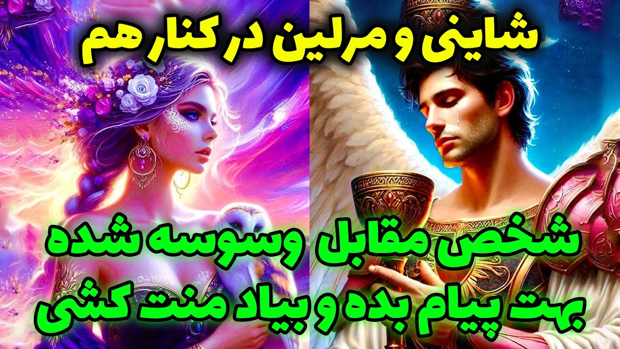 شاینی و مرلین در کنارهم - شخص مقابل وسوسه شده بهت پیام بده و بیاد منت کشی @merlintarott