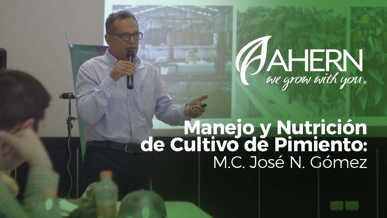 Manejo y Nutrición de Cultivo de Pimiento-M.C. José N. Gómez