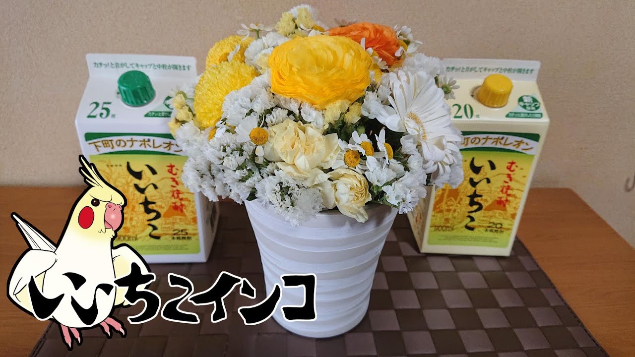 いいちこインコさんが旅立ちました・26年と9ヶ月の命でした