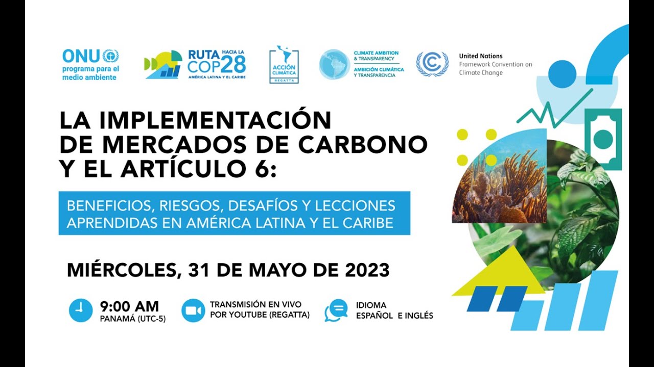 Mercados de carbono y Art. 6: beneficios, riesgos, desafíos y lecciones aprendidas en ALC