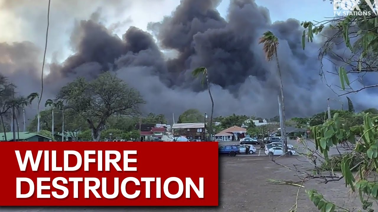 Footage of deadly wildfires burning in Maui, Hawaii